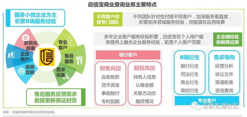 中國商業(yè)查詢典型廠商案例